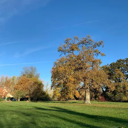 Le Manoir De Bois-En-Ardres Panzió